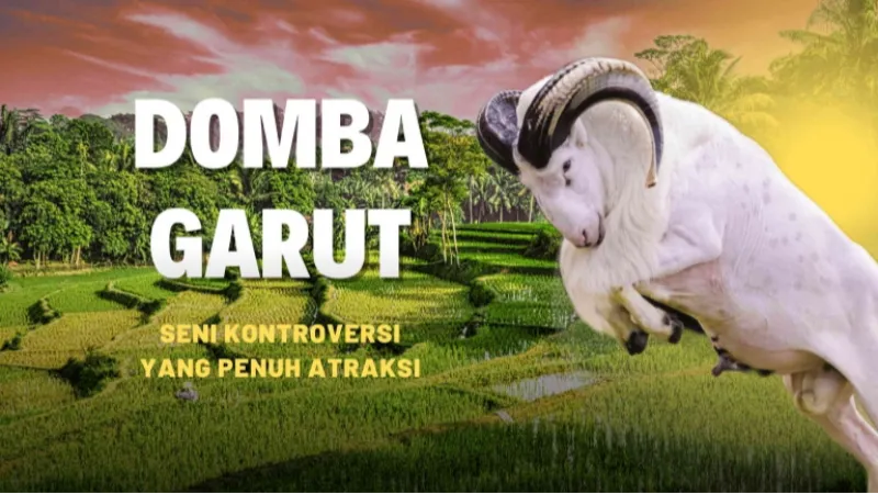 Apa itu domba garut